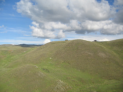 Grasberge mit H�usern