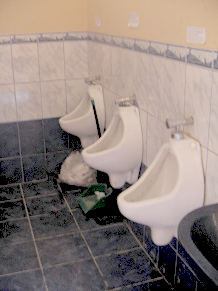 Urinale mit WC-Anweisung bei jedem Urinal
                        f�r dumme Peruaner, die nicht urinieren k�nnen