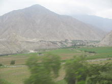 Llanura agraria con cerro del desierto
                        (01)