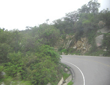 Serpentina con repecho cubierto de
                        vegetaci�n