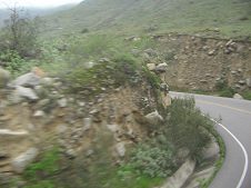 Serpentina con repecho vertical no
                        cultivado (03)