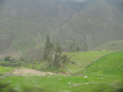 Figuras de �rboles, muros de campos y
                        despe�aderos