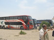 Nachbarbusse beim Restaurant