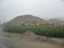 Panamericana, Feld und Wstenberge in der
                        Ebene von Chancay und Huaral (05)