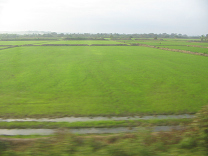 Panamericana Norte en el norte del Per
                        entre Mncora y Tumbes, arrozales (04)