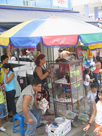 Aguas Verdes, puesto de animales