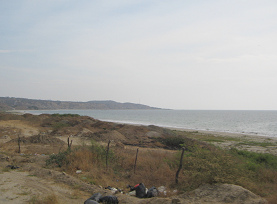 Baha de playa entre Tumbes y Zorritos
                          (02)