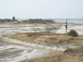 Baha de playa entre Tumbes y Zorritos
                          (04)
