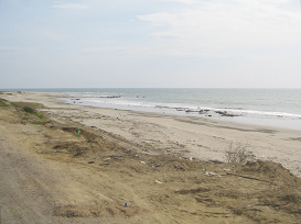 Panamericana Norte entre Tumbes y
                          Zorritos, playa sin fin