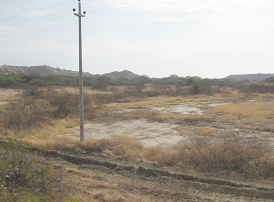 Panamericana Norte entre Zorritos y M�ncora,
                      estepa (02)