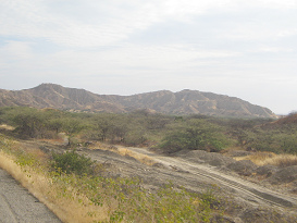 Panamericana Norte entre Zorritos y M�ncora,
                      cerros del desierto