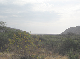 Panamericana Norte entre Zorritos y Mncora,
                      vista al mar