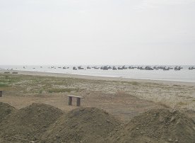 Panamericana Norte zwischen Tumbes und
                          Zorritos, Strand mit Fischerbooten (02)