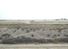 Panamericana Norte zwischen Tumbes und
                          Zorritos, ein leeres Becken f�r Muschelzucht
                          (01)