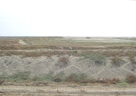 Panamericana Norte zwischen Tumbes und
                          Zorritos, ein leeres Becken f�r Muschelzucht
                          (02)