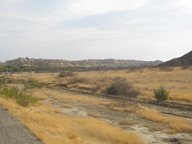 Panamericana Norte zwischen Zorritos und
                      Mancora, Steppe (01)