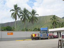 Palmeras y monta�a selv�tica desnuda