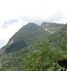 Monta�as selv�ticas, primer plano