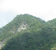 Monta�as selv�ticas, primer plano