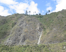 Unos �rboles en una cumbre