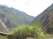 Vista atr�s al valle en forma de V (02)