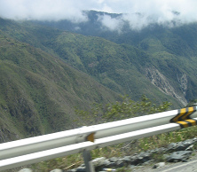 Cuestas
                      de monta�as selv�ticas