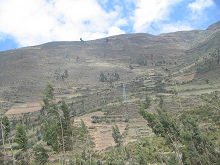 Kahler Berghang (02)