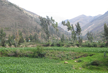 Landwirtschaftsebene und Sicht auf ein Tal im
            Hintergrund