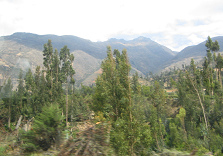 Vista al valle con selva al primer plano