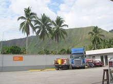 Palmen und kahler Urwaldh�gel