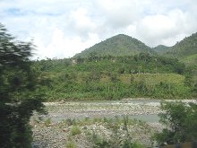 Urwaldh�gel auf der anderen Seite des
                      Flusses