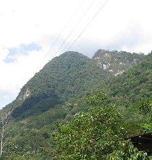 Urwaldberge, Nahaufnahme