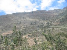 Kahler Berghang (02)