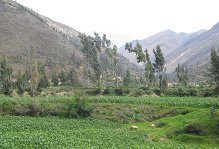 Landwirtschaftsebene und Sicht auf ein Tal im
            Hintergrund