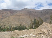 Landwirtschaftliche Ebene und Sicht auf
                        Berge
