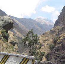 Grosser Berg im Hintergrund, Nahaufnahme
