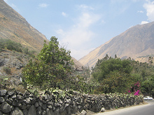 Blick auf eine erste Dunstwolke
