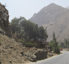 W�stenberge im Dunst (04)