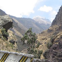 Grande cerro al fondo, primer plano