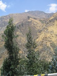 Cerros amarillos (01)