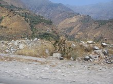 Monta�as amarillas cubiertas de plantas