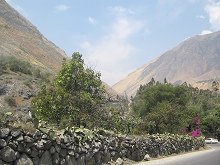 Vista a primeras nubes de bruma