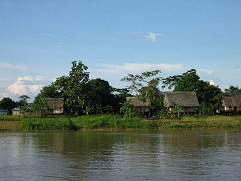 Amazonas-Flussdorf 01, Stelzenh�user am
                        Fluss 01