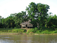 Amazonas-Flussdorf 01, Stelzenh�user am
                        Fluss 02