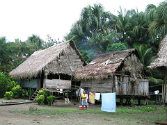 Amazonas-Flussdorf bei Iquitos 02, Wsche
                          hngt an Wscheleinen zwischen den
                          Stelzenhusern