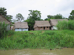 Amazonas-Flussdorf 02, H�user an Land