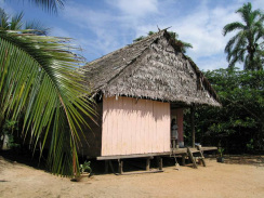 Amazonas-Flussdorf 3 bei Iquitos,
                          Stelzenhaus