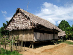 Amazonas-Flussdorf 03 bei Iquitos, noch
                          ein Stelzenhaus