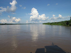 Amazonas-Flusslauf 01, Totale