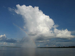 Amazonas-Flusslauf 03, Totale mit
                          Regenbogen